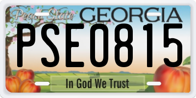 GA license plate PSE0815