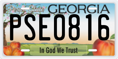 GA license plate PSE0816
