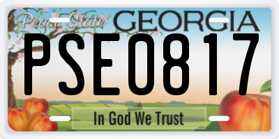 GA license plate PSE0817