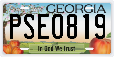 GA license plate PSE0819