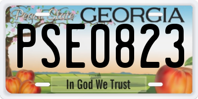 GA license plate PSE0823