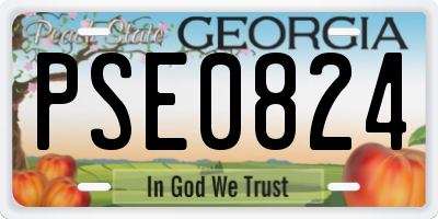 GA license plate PSE0824