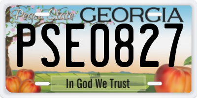 GA license plate PSE0827