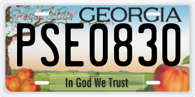 GA license plate PSE0830