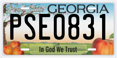 GA license plate PSE0831