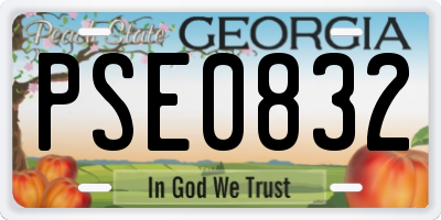 GA license plate PSE0832