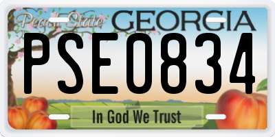GA license plate PSE0834