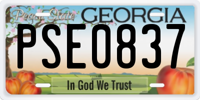 GA license plate PSE0837