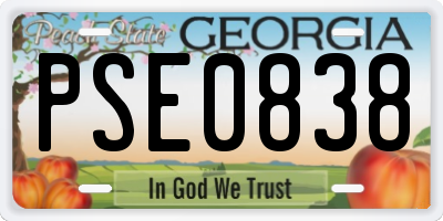 GA license plate PSE0838