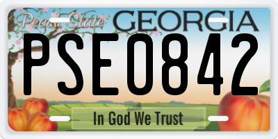 GA license plate PSE0842