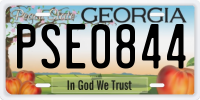 GA license plate PSE0844