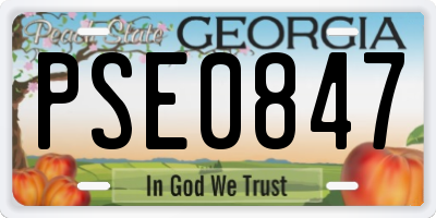 GA license plate PSE0847
