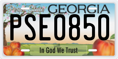 GA license plate PSE0850
