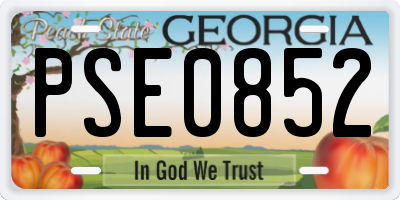 GA license plate PSE0852