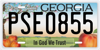 GA license plate PSE0855