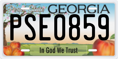 GA license plate PSE0859