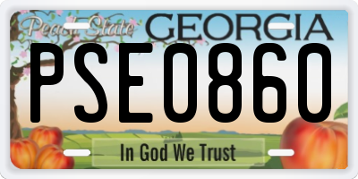 GA license plate PSE0860