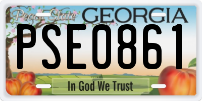 GA license plate PSE0861