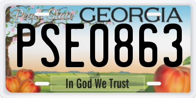 GA license plate PSE0863