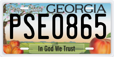 GA license plate PSE0865