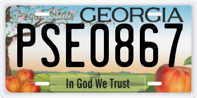 GA license plate PSE0867