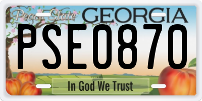 GA license plate PSE0870