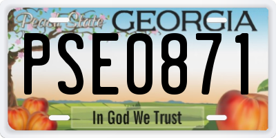 GA license plate PSE0871