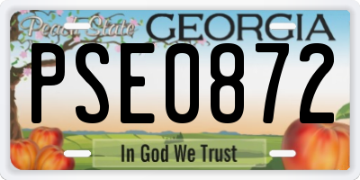 GA license plate PSE0872