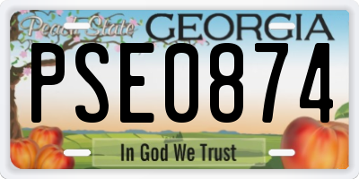 GA license plate PSE0874