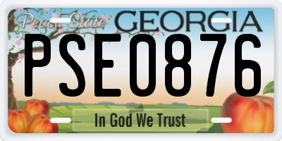 GA license plate PSE0876