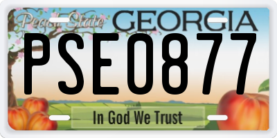 GA license plate PSE0877