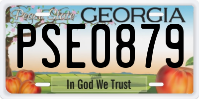 GA license plate PSE0879