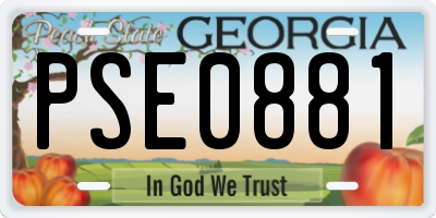 GA license plate PSE0881