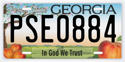 GA license plate PSE0884