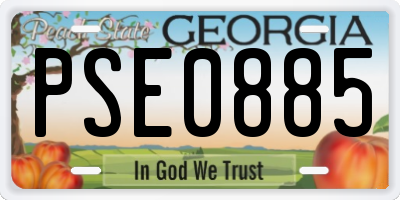 GA license plate PSE0885