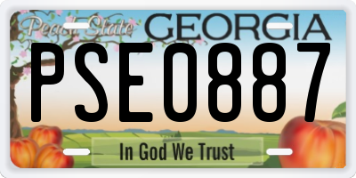 GA license plate PSE0887