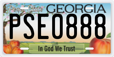GA license plate PSE0888