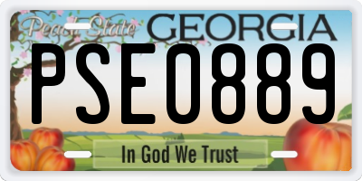 GA license plate PSE0889