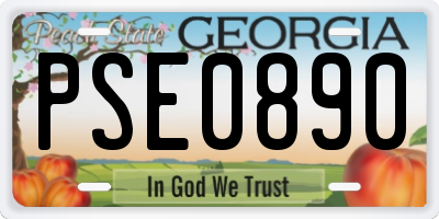 GA license plate PSE0890