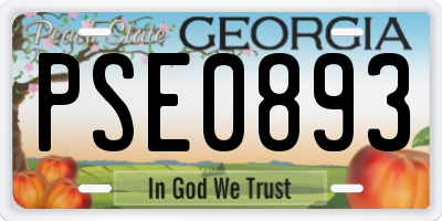 GA license plate PSE0893