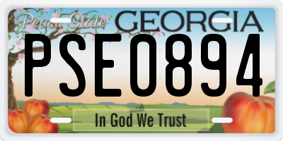 GA license plate PSE0894