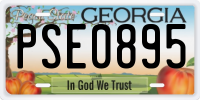GA license plate PSE0895