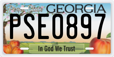 GA license plate PSE0897
