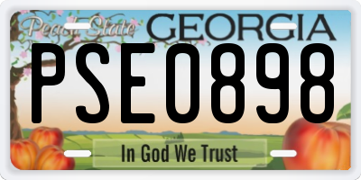 GA license plate PSE0898