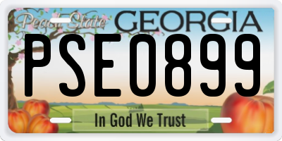 GA license plate PSE0899