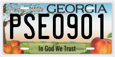 GA license plate PSE0901