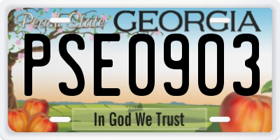 GA license plate PSE0903