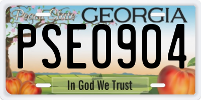 GA license plate PSE0904