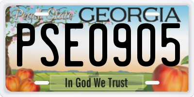 GA license plate PSE0905