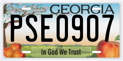 GA license plate PSE0907